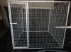 kennel/dog cage