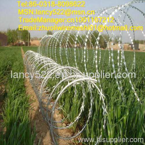 airport concertina barbed wire/bto-22 razor barbed wire