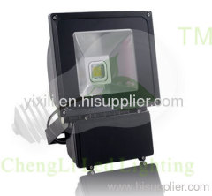 LED flood light