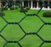 Anping Hexagonal Wire Mesh