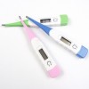 promotional gift digital thermometer