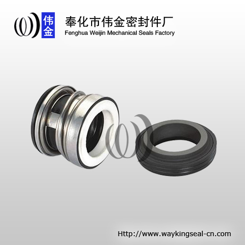 light mechanical face seal for pump