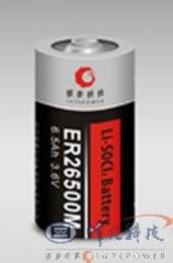 Disposable lithium battery