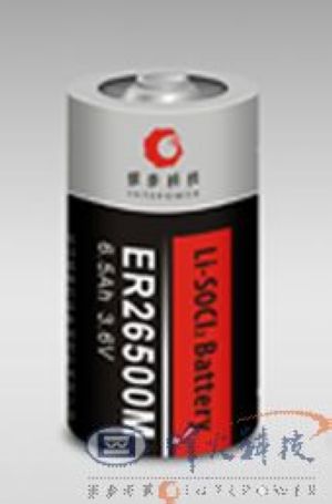 Disposable lithium battery