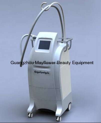 Cryolipolysis Body Shaping Beauty Equipment (MY80)