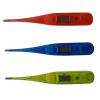 transparent digital thermometer