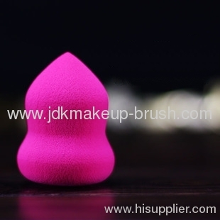 Make up Blender Sponge