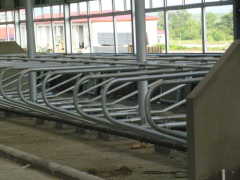 High quality Cattle Free Stall