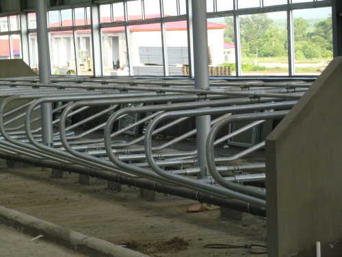 High quality Cattle Free Stall