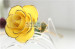 Valentine's Day Gift 24k gold plated rose