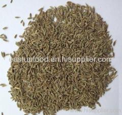 Turpan green cumin seeds