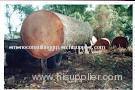 african timber logs