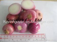 Red Shallot