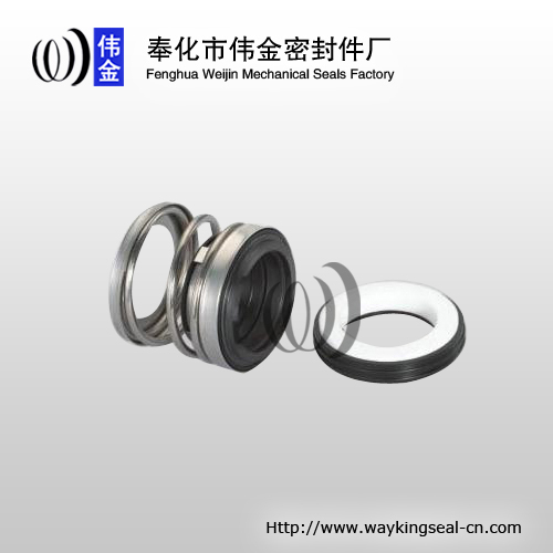single mechanical seal in submersible pump
