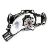 Chevrolet & Chevy & GMC truck Water Pump WP8894 AW981, R3957, 14087581,3856284, 3876173, 3927564, 3957982