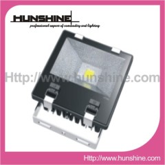 70W Plastic Outdoor Luminaire Lighting