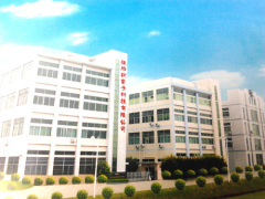 Dongguan EVK Electric Technique CO.,LTD.