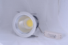 supply COB led down light