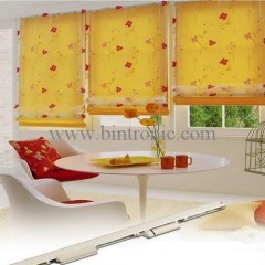 Motorized Roman Blinds