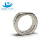 permament rare earth magnet irregular ring