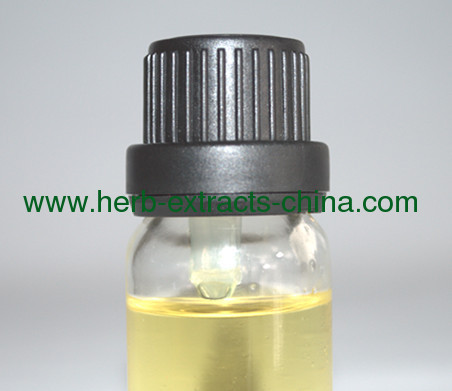 Cedarwood Oil - the Oil of Will Cedrus Atlantica from China