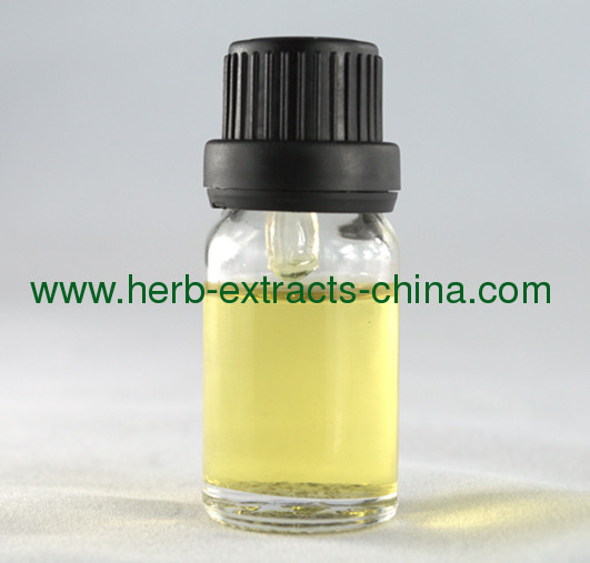 Cedrus Atlantica Cedarwood Essential Oil Clear Yellow Color Aroma