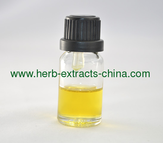 1/3 fl. Oz Pure Ginger Oil -- Relieving Head Congestion