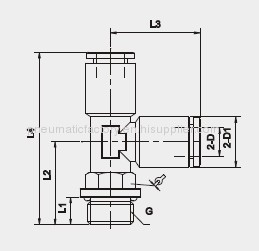 Brass push-in Fitting