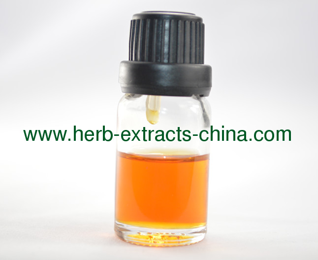 Steam distilled Natural Ginger Oil -- 100% Pure Essential Oil