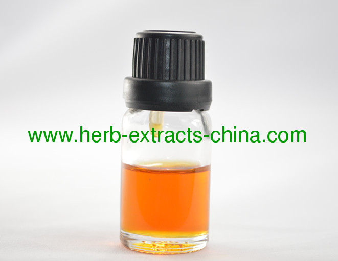 Traditional Medicated Oil China Ginger Root Essential Oil Synergistic Healing