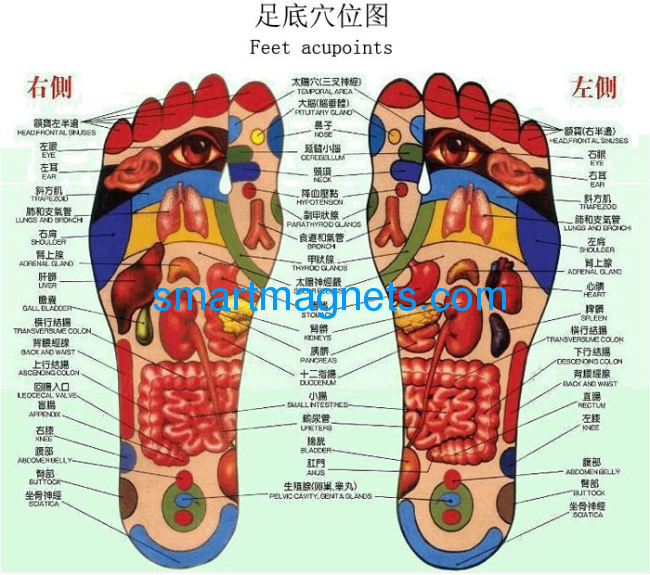 hot sale Magnetic insole