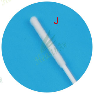Disposable Cyto Brush / Cervical Brush /