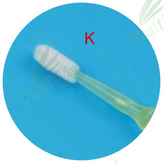 Disposable Cyto Brush / Cervical Brush /