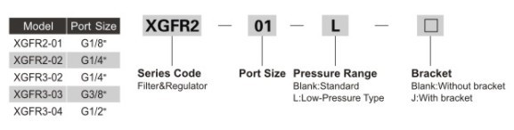 XGFR series Air Source Treatment