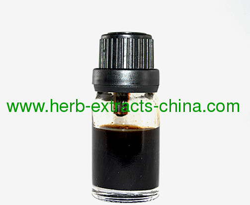 Nard Root Essential Oil