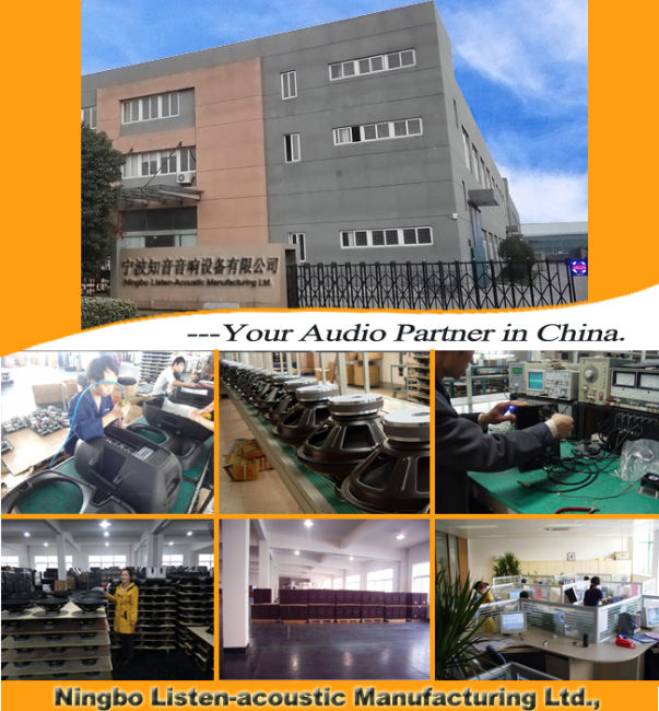 High Efficiency High Grade Audio Power Amplifier Module 100W×2