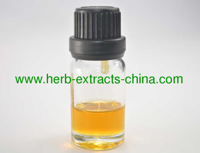 Floral Jasmine Essential Oil Pure