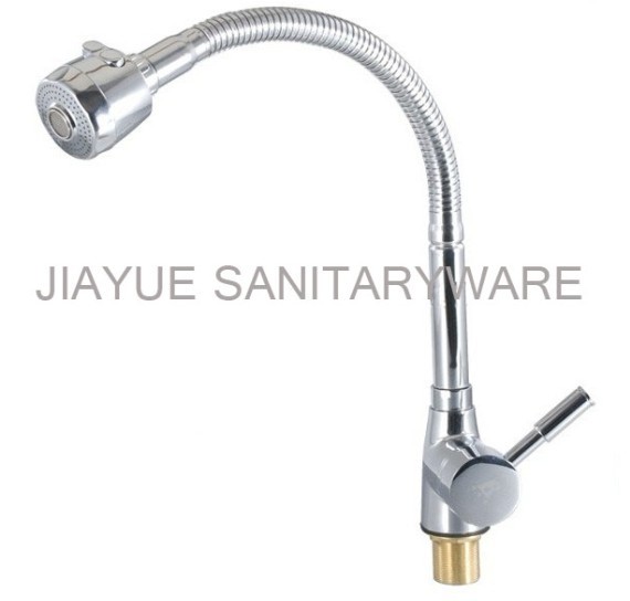 shower head with hose