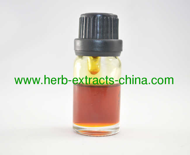 Angelica Archangelica Root Oil