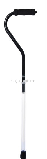 pathlighter with LED cane