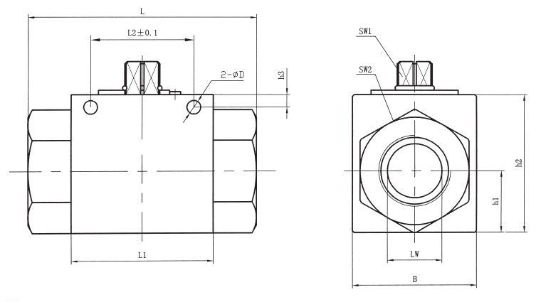 VH2V BSP (ISO 228) thread High Pressure Ball Valves