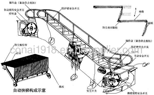 Escalator Indoor