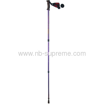 New style Simple Design Alpenstock