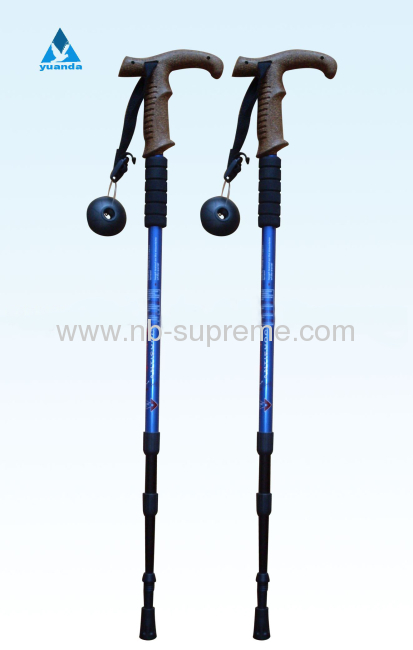Two Section Telescopic Carbon Hiking Stick