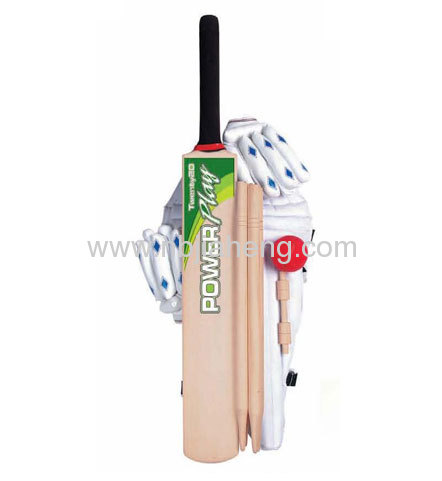 CRICKET BAT DYNAMIC TWENTY-20 CRICKET BAT