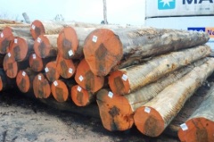 Quality Timber and lumber sawn logs hardwoods.