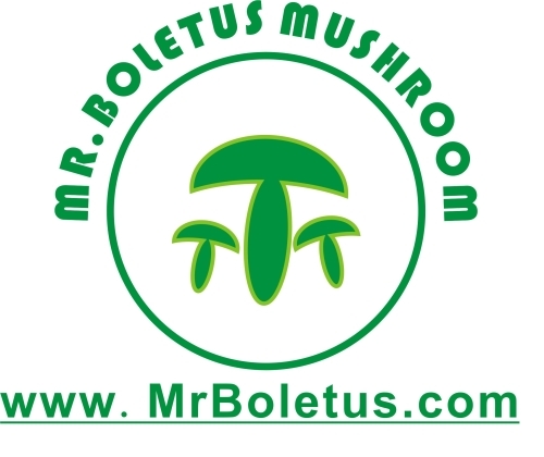 Mr Boletus Mushroom Industry Co.,Ltd