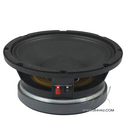 10 inches Midrange Speaker