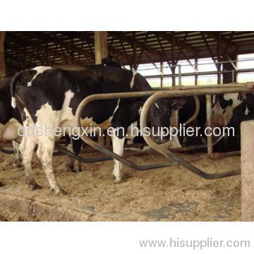 Cattle Farm Equipment Cattle Stall