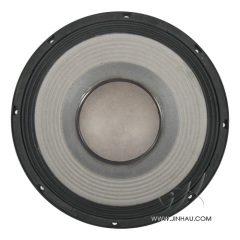 12 inches PA Speaker / Woofer / LF Driver